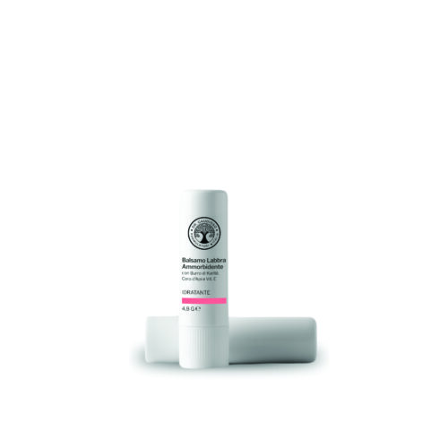 Reparador Labial Manteca de Karité
