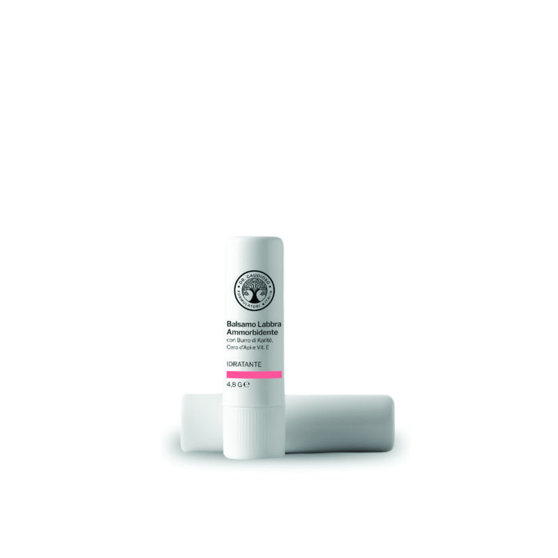 Reparador Labial Manteca de Karité